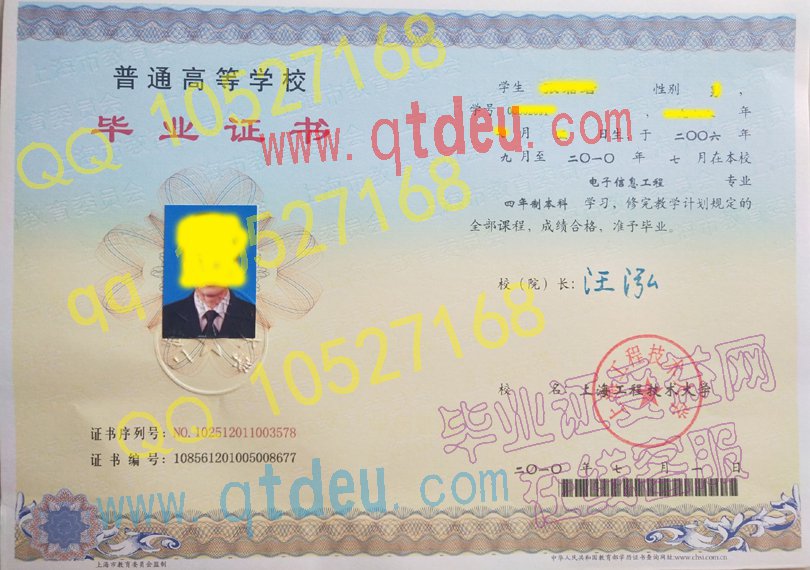 上海工程技术大学2010年毕业证模板{样本}