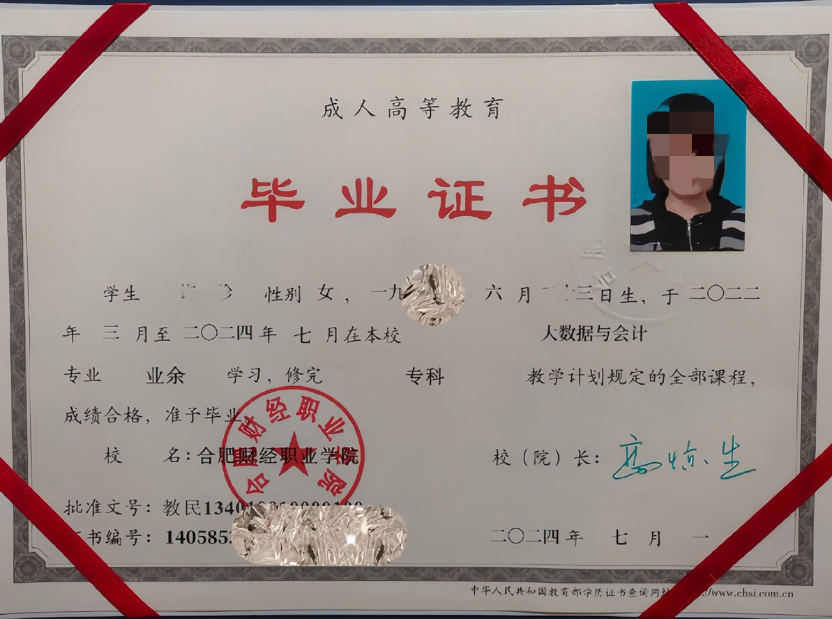 2024年合肥财经职业学院成教毕业证样本【大数据与会计】