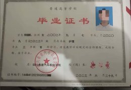 四川希望汽车职业学院毕业证样本