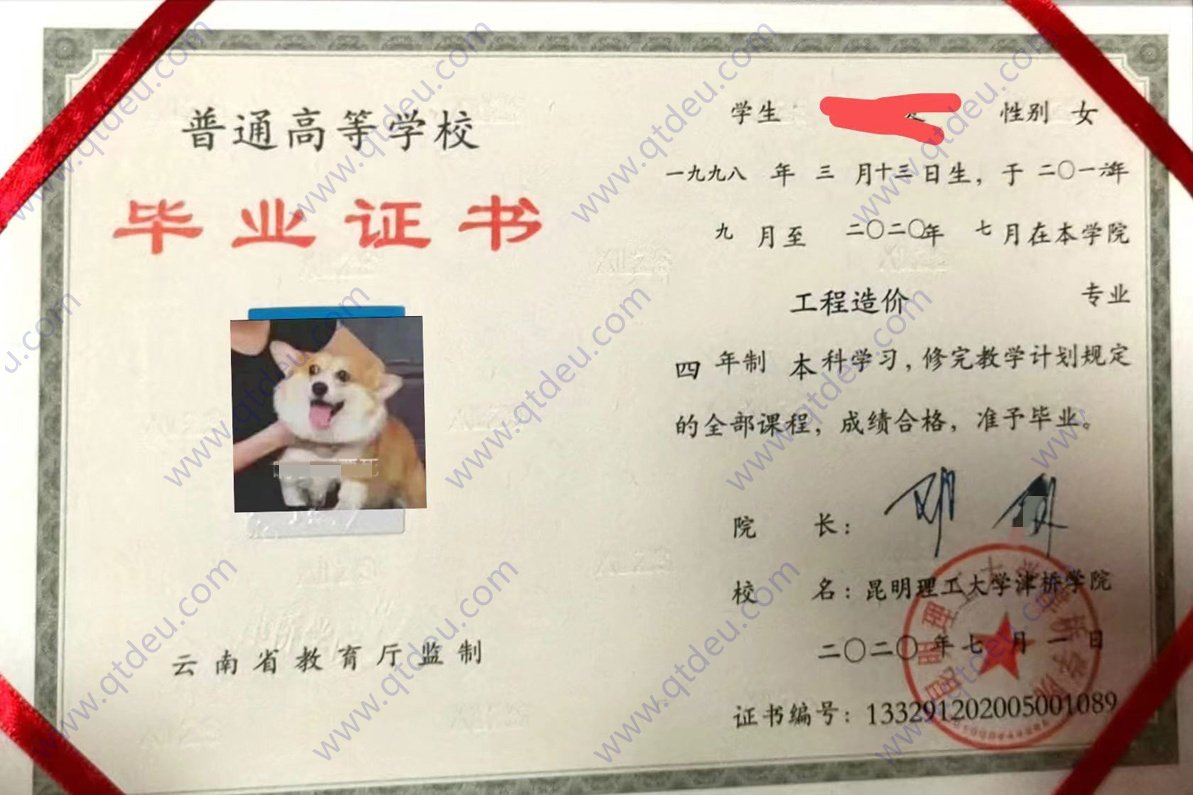 昆明理工大学津桥学院 20年毕业证原版样式图