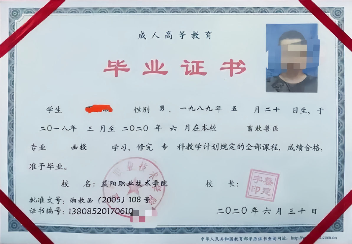 益阳职业技术学院20年成教函授毕业证原版样本图片